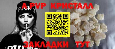 прущие грибы Обнинск
