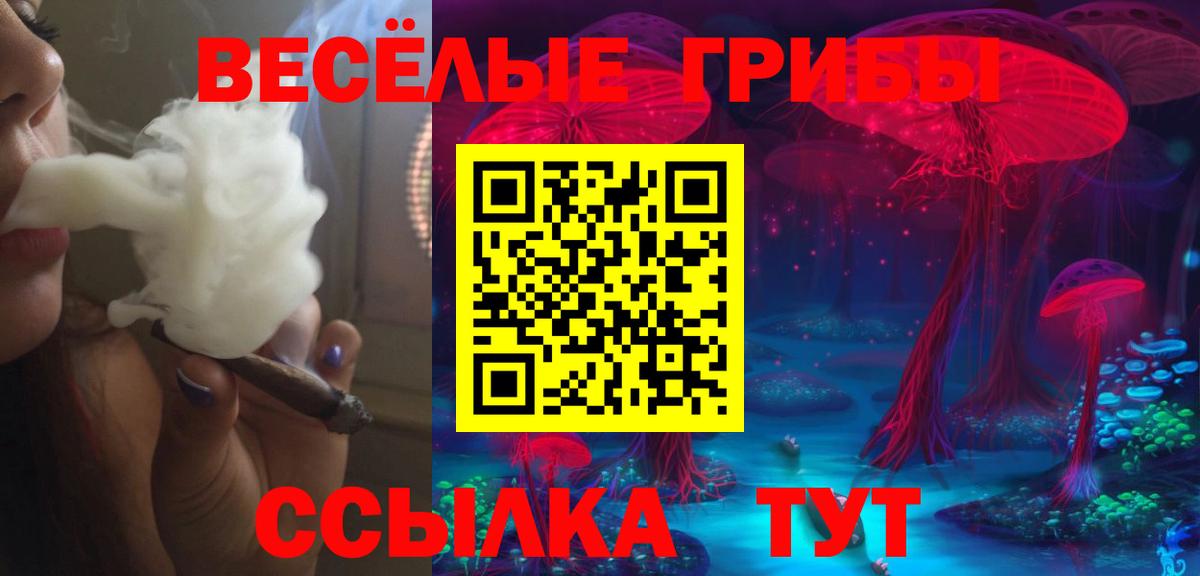 Псилоцибиновые грибы мухоморы Симферополь